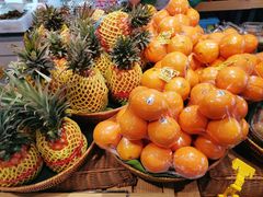 -叁拾加水果专家