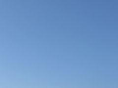 -庐山风景名胜区-东林大佛
