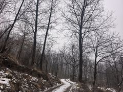 -抱龙峪