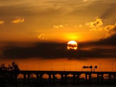 -宝安西湾红树林湿地公园