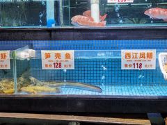 -濠景渔港(汇通店)