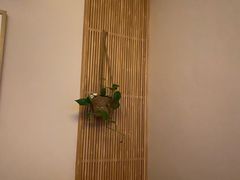 -璞禅足道(观音桥旗舰店)
