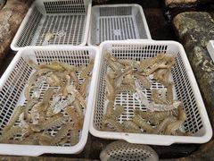 -郑庄脂渣海鲜楼(九水路店)