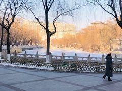 -文瀛公园