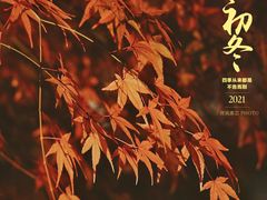 -秋霞圃