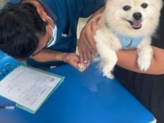 -瑞派申生动物医院·24H夜诊·国际动物医疗中心·骨外科(吴中路店)