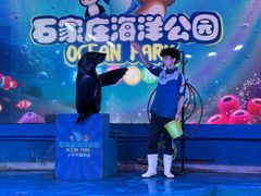 -石家庄海洋公园