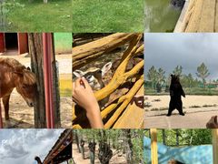 -鄂尔多斯野生动物园