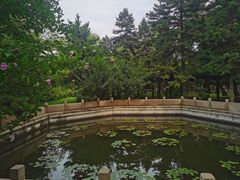 -晋祠公园