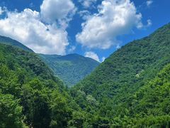 -东天目山风景区