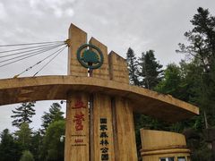 -五营红松林海景区