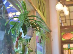 -西关84·History·Art·Cafe