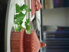 -黄记煌三汁焖锅(新世纪广场店)