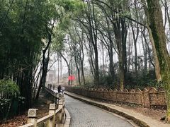 -灵岩山风景区
