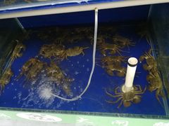 -阳澄湖大闸蟹·琼灵阁牌品牌连锁(吴中总店)