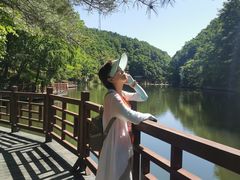 -洛阳白云山景区