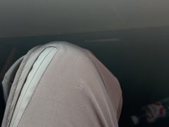 -莫里热带雨林景区