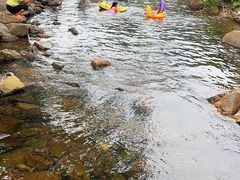 -北仑森林植物园