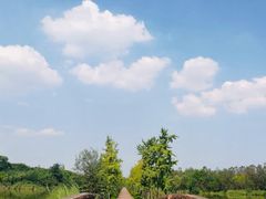 -白鹭湾湿地公园