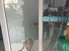 -瑞派福兴宠物医院犬猫全科·骨科·中西医结合(河东店)