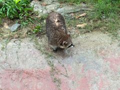 -泉州海丝野生动物世界