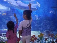 -烟台海昌鲸鲨海洋公园