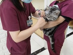 -美联众合动物医院·24h京西诊疗中心