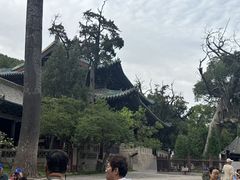 -晋祠博物馆
