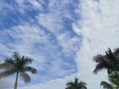 -采粤轩中餐厅(惠州金海湾喜来登度假酒店)