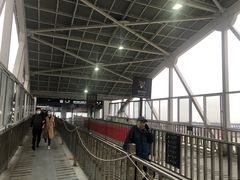 -武汉关码头(轮渡站)