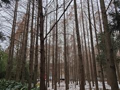 -河南省黄河迎宾馆