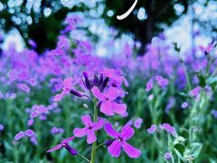 -浙江大学（紫金港校区）求是书院