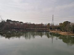 -梁鸿国家湿地公园