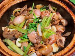 啫啫石斑鱼扣-煲煲好(朝阳门店)