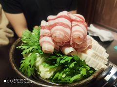 -春草居酒屋·晴子の店