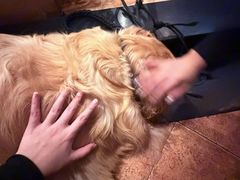 -火车头法国西餐厅