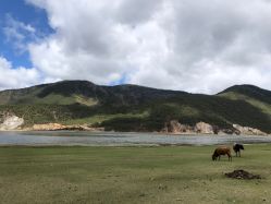 -纳帕海依拉草原