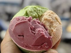 -Dip in Gelato(富民路店)
