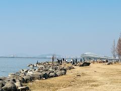 -苏州东太湖生态园