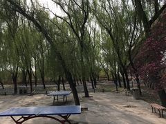 -老君堂公园