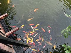 -合肥野生动物园