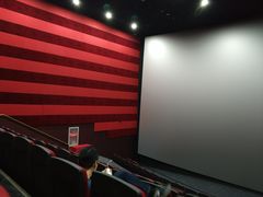 -华谊兄弟影院(IMAX洋桥店)