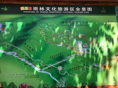 -呀诺达热带雨林