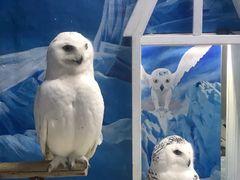 -成都浩海立方海洋公园