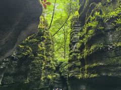 -梭布垭石林景区