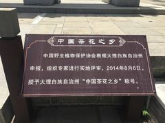 -大理文庙(大理古城)