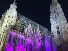 -斯蒂芬主教座堂(Stephansdom)