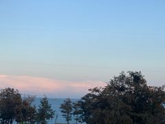 -坛南湾阿强农家乐.海鲜大排档老字号(福州地标美食店)