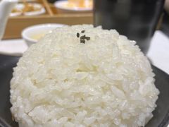 -新仙清汤牛腩(铜锣湾店)