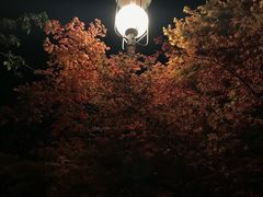 -屋顶花园餐厅(步行街老地王大厦店)